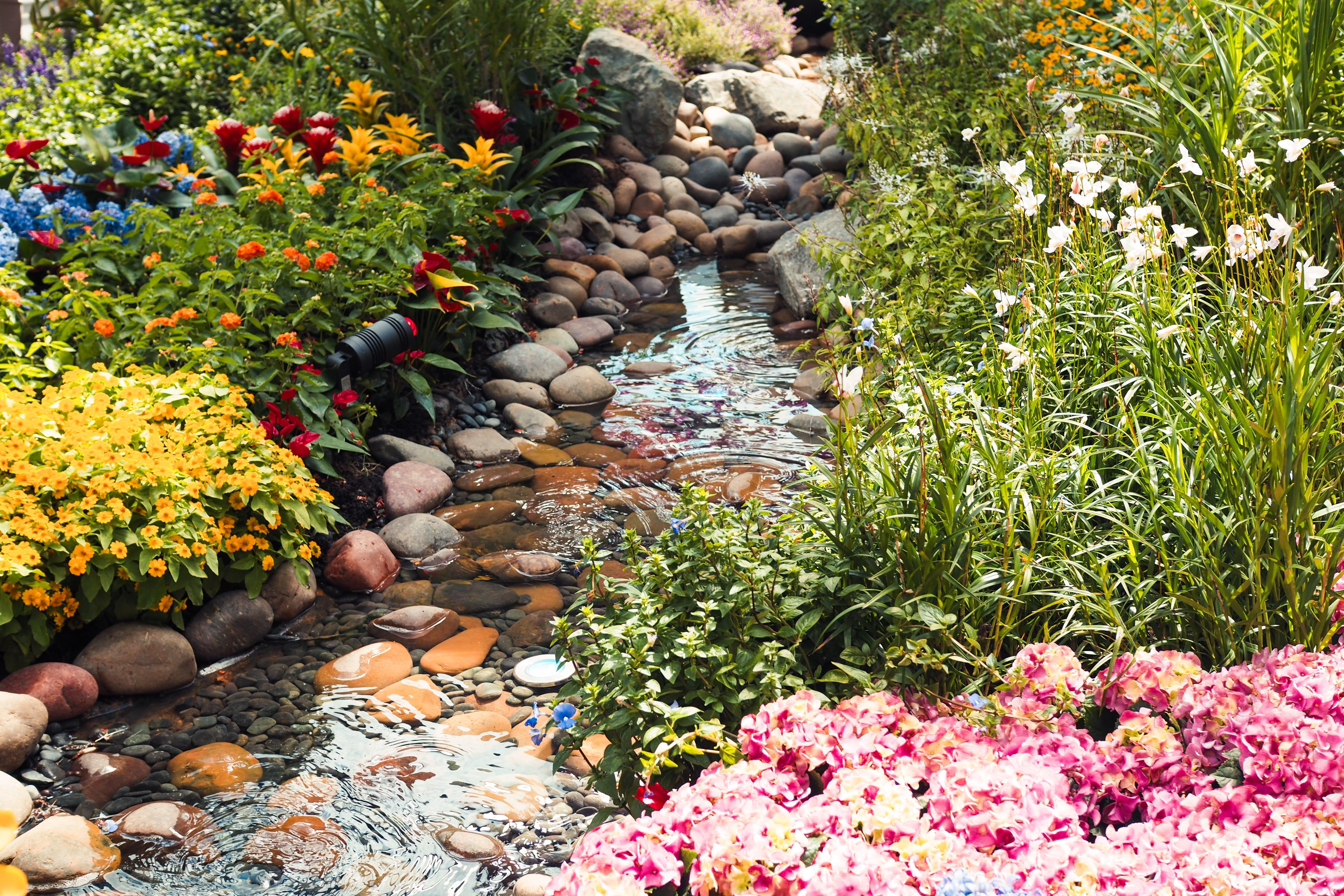 Crowne Plaza Changi Airport By Ihg Сингапур Экстерьер фото The photo depicts a serene garden scene featuring a small, gently flowing stream meandering through an array of colorful flowers and plants. On either side of the stream, vibrant blooms can be seen, including clusters of yellow and pink flowers, alon