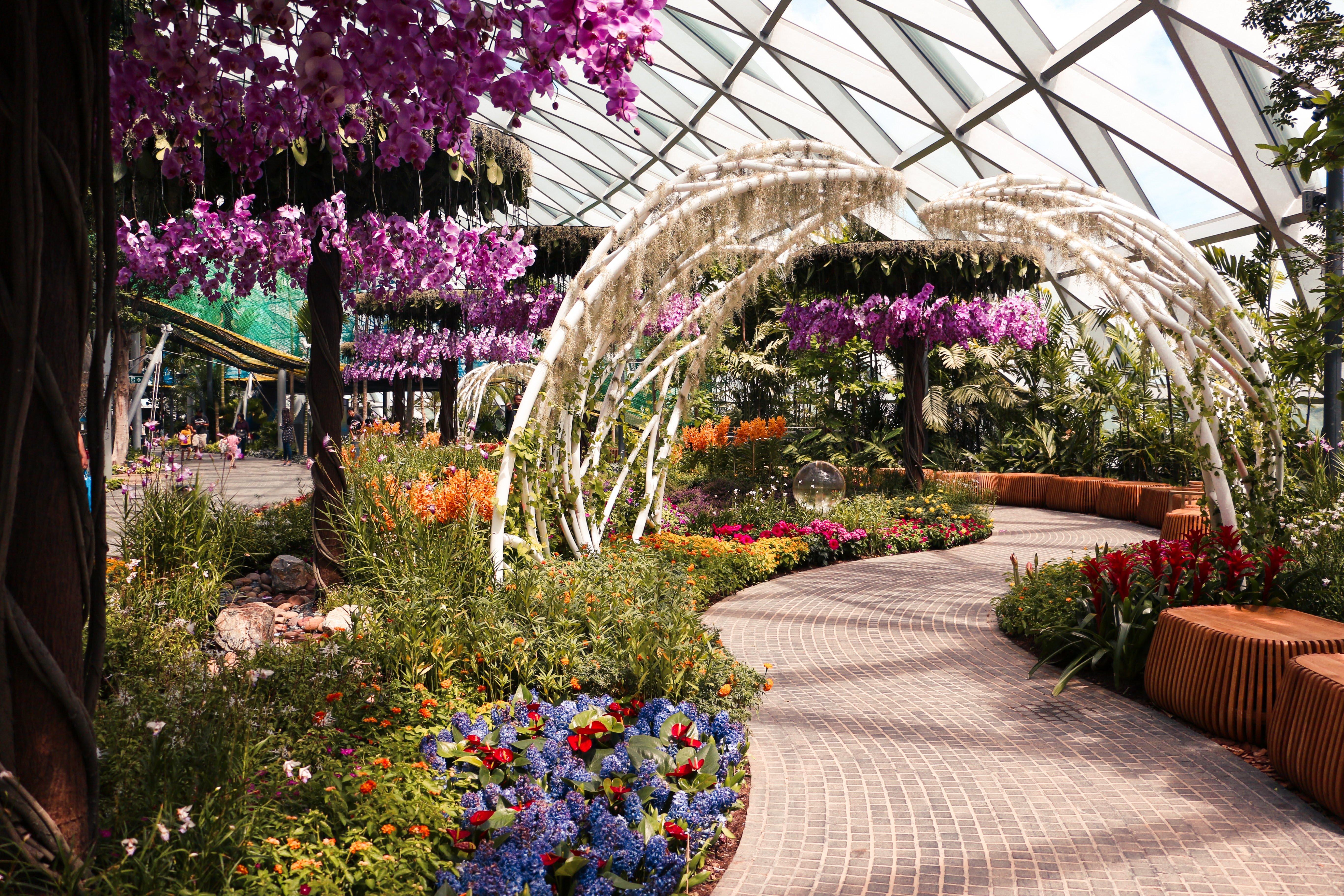 Crowne Plaza Changi Airport By Ihg Сингапур Экстерьер фото The photo depicts a beautiful indoor garden featuring vibrant flowers and lush greenery. The scene includes colorful floral arrangements, notably with purple orchids hanging from the ceiling. A winding path made of stone leads through the garden, fla
