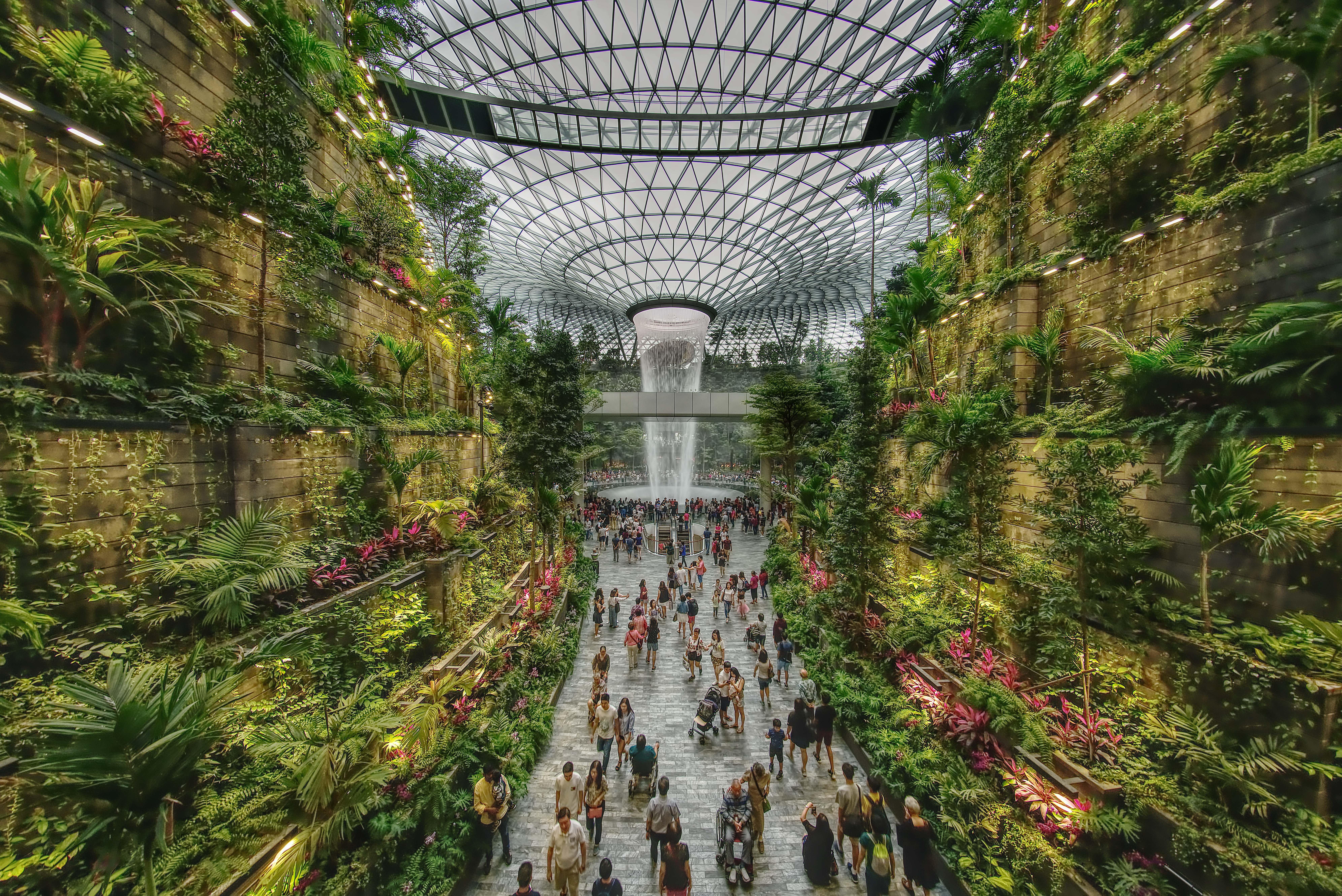 ботанический сад в сингапуре